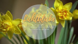 Lichtblicke an Ostern [upl. by Noakes]