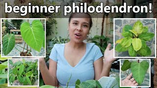 PHILODENDRON HOUSEPLANT CARE GUIDE AND TIPS FOR BEGINNERS [upl. by Aiden]