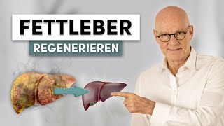 Fettleber regenerieren So behandelst Du sie richtig [upl. by Ive979]