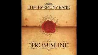 E un prieten Otto Pascal  Elim Harmony Band 2014 [upl. by Onivla103]