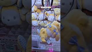 CuTE POCHACCO🤧🤧 sanrio cinnamoroll kuromi mymelody viral pompompurin ufoキャッチャー [upl. by Aneelehs]