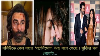 বলিউডে গেল বছর😱‼️‘অ্যানিমেল’ ঝড় বয়ে গেছে । মুক্তির পর থেকেই😱😱😱😱 [upl. by Cesare876]