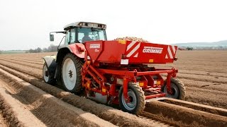 GRIMME GB 215  potato belt planter [upl. by Gnoht315]