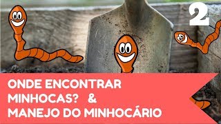 Tudo sobre Minhocário 02  Onde conseguir as minhocas  Manejo do minhocário [upl. by Ignatius]