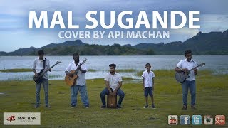 Dam Sugandhe  Cover by Api Machan apimachan [upl. by Pretrice]