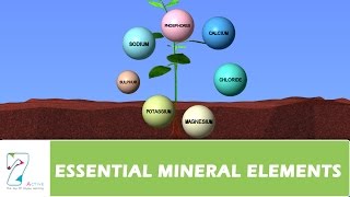 ESSENTIAL MINERAL ELEMENTS PART 02 [upl. by Eillom454]