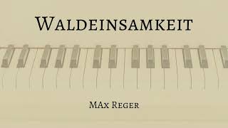 Waldeinsamkeit by Max Reger Accompaniment [upl. by Norahs788]