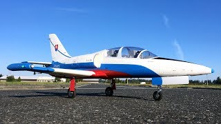 Freewing L39 Albatros 80mm EDF Jet Maiden Flight Review [upl. by Eirac]