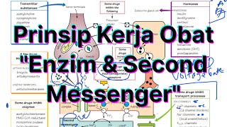 Prinsip Kerja Obat  Enzim Second Messenger dan Protein G  Farmakologi [upl. by Eachern]