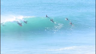 Bodyboarding paradise  Beliche The wave machine  Algarve  Portugal [upl. by Eneja]