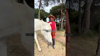 ¿Qué mata a nuestros caballos🐴 vivirenmanada [upl. by Terb]