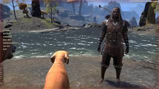 ESO Standard Edition Walkthrough Part 31  Bound by Love [upl. by Ehcar]