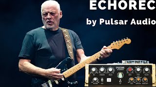 Pink Floyd Tone with Pulsar Audio Echorec Plugin [upl. by Euqirat]