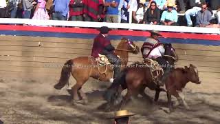 Rodeo Criadores Salamanca Serie Campeones 3 [upl. by Reerg553]