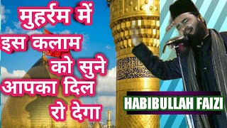 HABIBULLAH FAIZI  मुहर्रम में इस कलाम को सुने आपका दिल रो देगा  HUSSAIN KA SARNAAT INFO [upl. by Carmon]