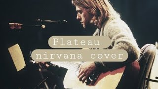 Plateau nirvana unplugged cover [upl. by Brockie304]