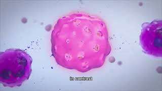 Necrosis and Apoptosis 3D animation SUB [upl. by Florina334]