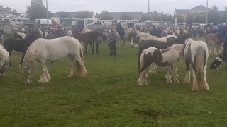 Ballinasloe horse fair 2022 Great crowd great weather great to be back [upl. by Mashe478]