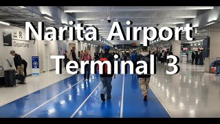 Narita Airport Food Court Terminal 3 [upl. by Alaehs]