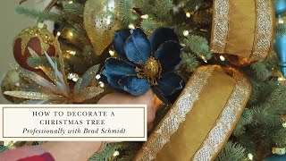 How to Decorate a Christmas Tree Professionally with Brad Schmidt [upl. by Dleifyar]