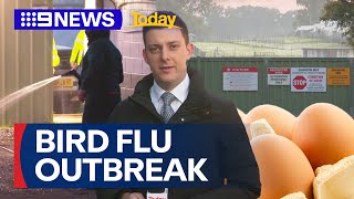 Bird flu strain discovery forces Sydney egg farm into bio lockdown  9 News Australia [upl. by Behah852]