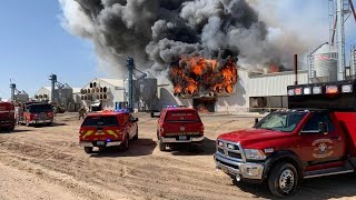 165K hens dead after massive barn fire at Hickmans Family Farm [upl. by Ettennaej773]