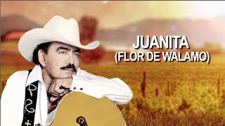 Joan Sebastian  JuanitaFlor de Walamo Letra Oficial [upl. by Anirdnajela485]