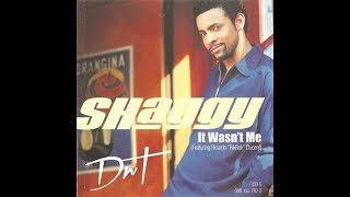 Shaggy It wasnt me Lyrics [upl. by Dierolf292]