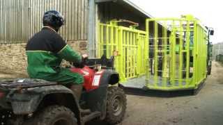 Gecko Cattle Handler  Calving crate  Cow catcher [upl. by Columbine]