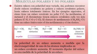 Apolaridad y polaridad y su relación con las mezclas [upl. by Anatsirhc]