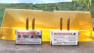 Winchester Super X 40gr 22wmr VS Winchester Dyna Point 45gr 22wmr Ballistic Gel Test 22 Magnum [upl. by Benn]