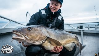 Cod Fishing in Norway  BEST Cod fishing in The World [upl. by Pietje281]