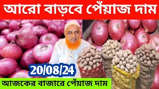 200824 সামনে আরো বাড়বে দাম  How to start onion business and earn money  earn money Online [upl. by Sykleb]