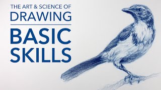 The Art amp Science of Drawing  Basic Skills [upl. by Templia]