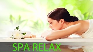 6 Hour Relaxing Spa Music Yoga Music Soothing Music Massage Music Calming Music ☯361 [upl. by Assehc523]