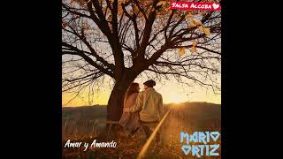 💞Mario Ortiz y su Orquesta  “Amar y Amando”  1991 [upl. by Argus3]