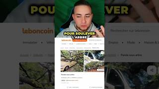 Avec ou sans lâ€™arbre ðŸ˜‚  leboncoin voiture [upl. by Nylzaj]