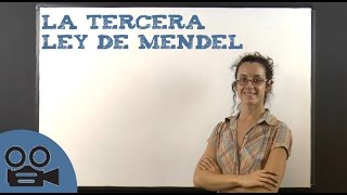 La tercera ley de Mendel [upl. by Adnawal54]