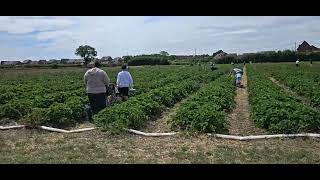 Visited poplars farm nuneaton warwickshire uk highlights wow farming personalvlog [upl. by Bernardina]