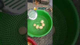 FUSKA MAKING VEDIO shortvideo fuchka shorts shortsviral cooking viral fuchka [upl. by Rosenzweig]