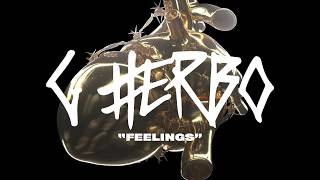 G Herbo  Feelings Official Lyric Video [upl. by Rettke]