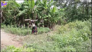 Si Vous N’avez Pas De CœurS’il Vous Plaît Ne Regardez PasCette Histoire De Vie Vraie FILM NIGÉRIAN [upl. by Ahsiemac]