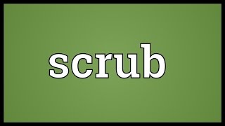 Scrub Meaning [upl. by Hartill]