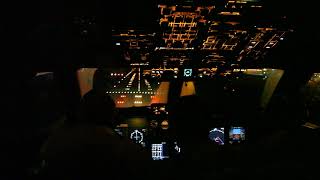 Посадка Ил96 в Шереметьево  Ilyushin Il96 Landing at UUEE Cockpit view [upl. by Wellington]