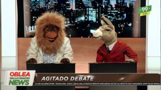 Oblea de Arroz  Gallo Snacks News  Debate [upl. by Enelrak970]