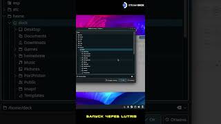 ❗Запуск через Lutris❗  Steam deck shorts steamdeck steamdeckgamemode [upl. by Ellmyer305]