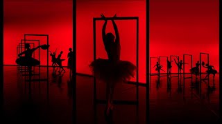 TikTok Silhouette Challenge  Ballet Edition [upl. by Joellen30]