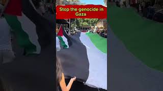 Stop the genocide in Gaza فلسطين اكسبلورexplore ترند shorts youtubeshorts freefire art [upl. by Esnahc]