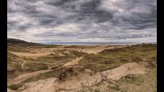 L6 coasts the formation of sand dune ecosystems Edexcel A level Geography [upl. by Giacomo76]