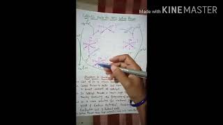 Methanol Carbonylation British Pertroleum Cativa Process [upl. by Theurich852]